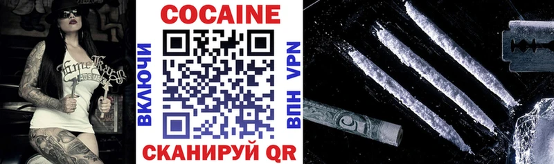 Купить закладки  Ленинградская  Кокаин Эквадор 